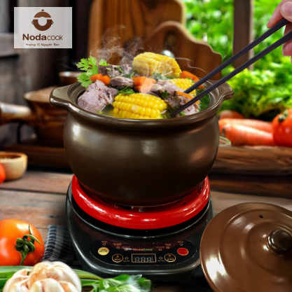 Nồi đất điện đa năng Nodacook
